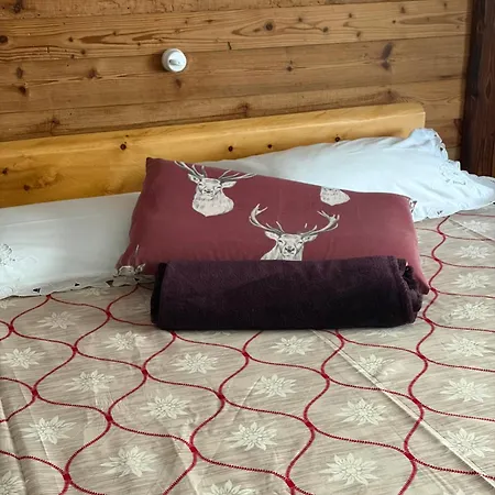 Profumo Di Legno, Palu Vacanze *